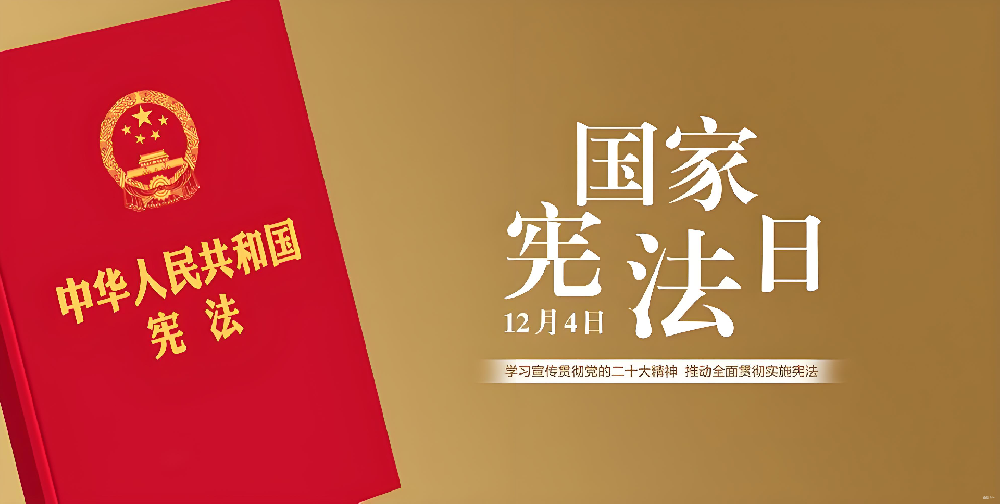 1764798332197169.png 1764798332197169.png