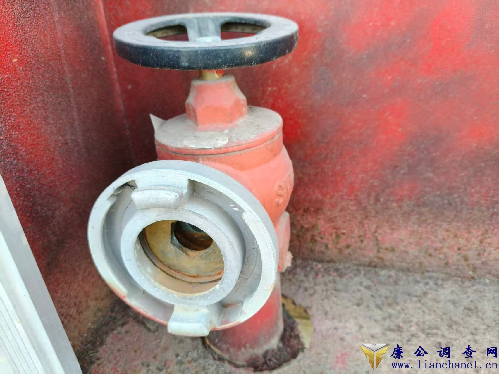 1767156785190727.jpg 1767156785190727.jpg